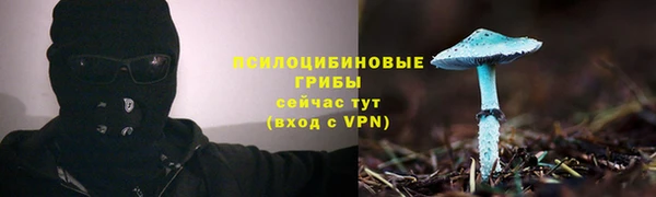 спайс Алексин