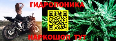 a pvp Вышний Волочёк