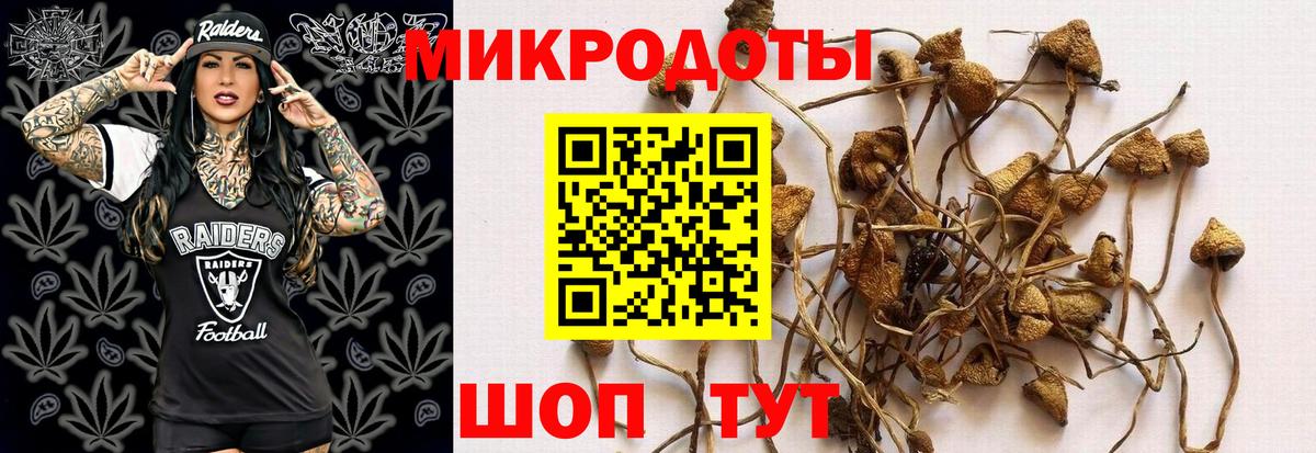 Истра  Псилоцибиновые грибы Magic Shrooms  Вход с VPN 
