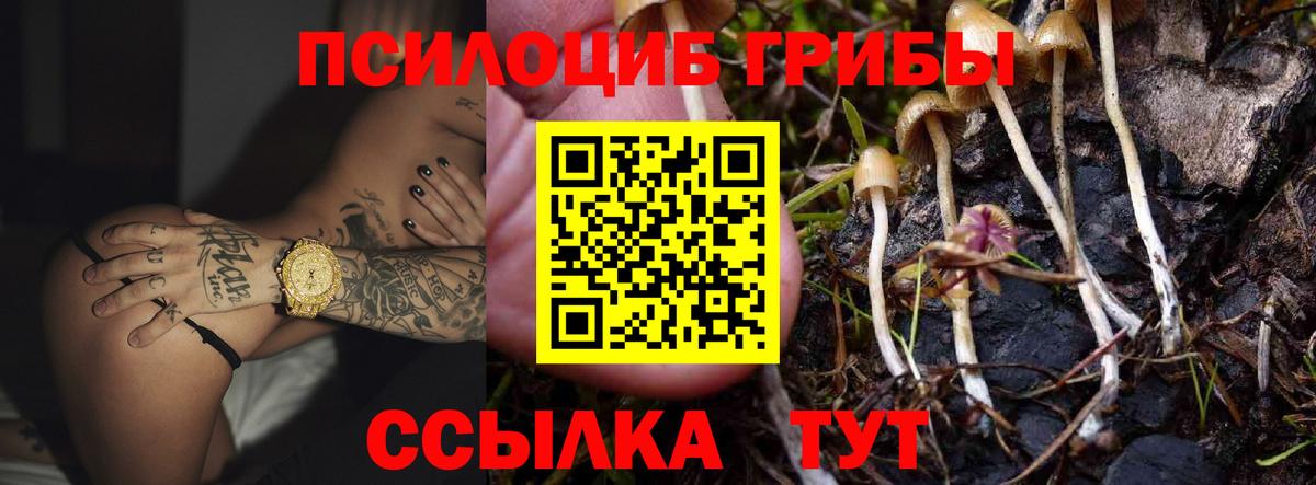 Псилоцибиновые грибы мухоморы Истра