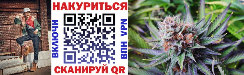 как найти   Истра  Каннабис THC 21% 